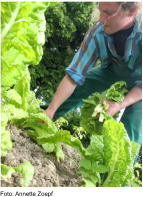 Foto: Annette Zoepf