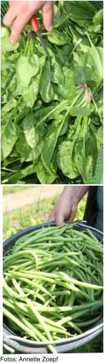 Fotos: Annette Zoepf